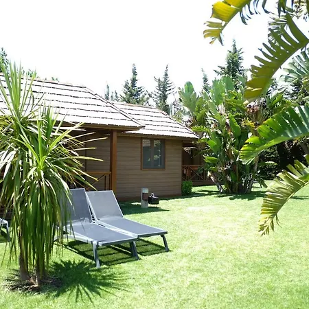 Playa Montroig Campsite